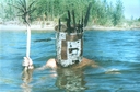 Плавающий карасись 2002